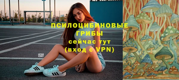 дмт Абинск