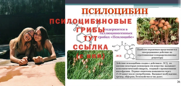 таблы Абаза