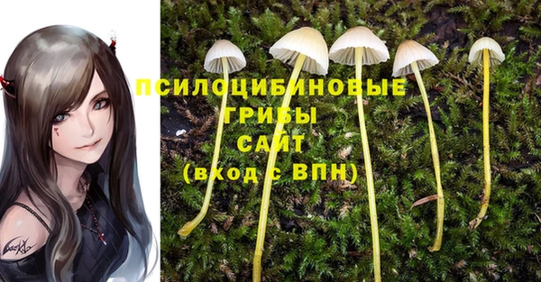 ешки Абдулино