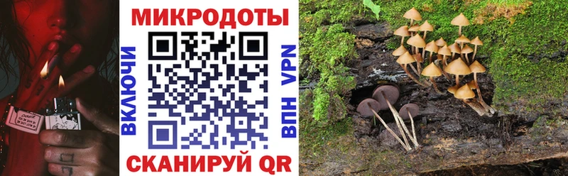 Псилоцибиновые грибы мицелий Челябинск