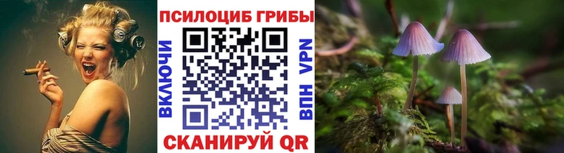 Псилоцибиновые грибы Psilocybe Челябинск