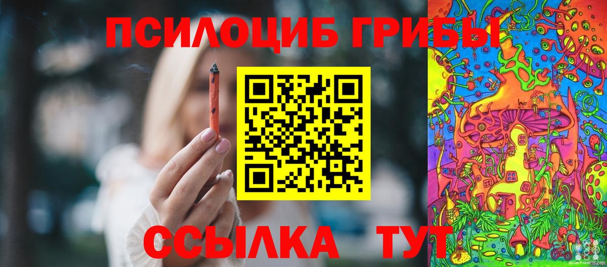 Псилоцибиновые грибы Psilocybine cubensis Челябинск