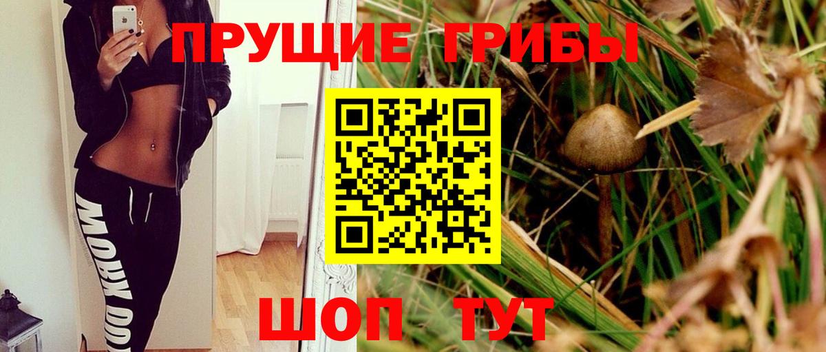 Челябинск  Псилоцибиновые грибы Cubensis  Вход с VPN 